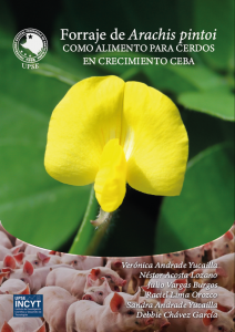 Cover for Forraje de Arachis pintoi, como alimento para cerdos en crecimiento ceba