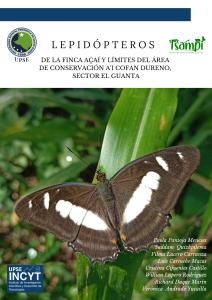 Cover for Lepidópteros de la ﬁnca Açaí y límites del área de conservación A’i Cofán Dureno, sector El Guanta