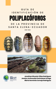 Cubierta para Guía de identificación de Poliplacóforos de la provincia de Santa Elena - Ecuador