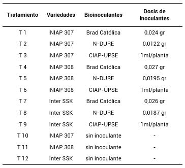 Descripción de los tratamientos
