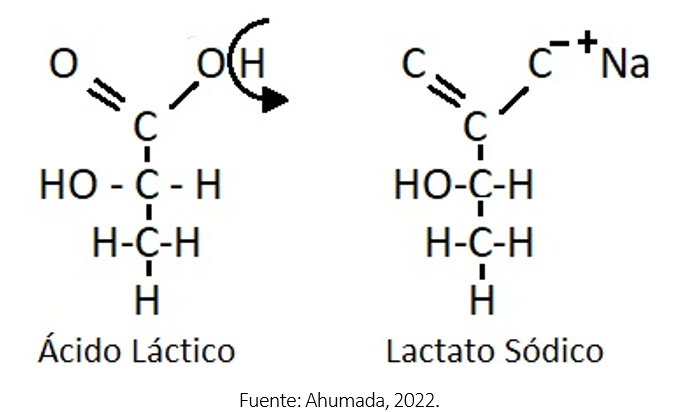  Estructura química del ácido láctico y del lactato, cuando la molécula está disociada.>