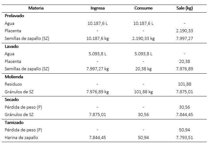 Balance de materia para la producción de harina de semillas de zapallo a escala industrial